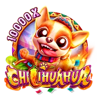 Facai : CHILIHUAHUA - TROPICANA77