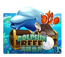 Joker123 : Dolphin Reef - TROPICANA77