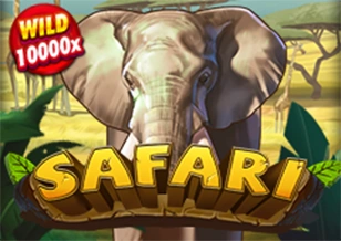 Safari - TROPICANA77
