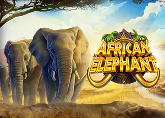 Pragmatic : African Elephant - TROPICANA77